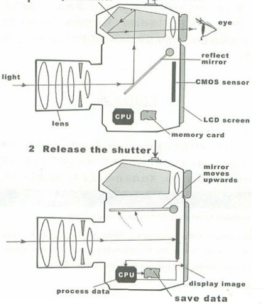cấu tạo Single-Lens Reflex