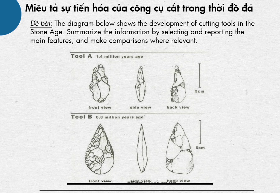 diagram shows The development of cutting tools in the Stone Age