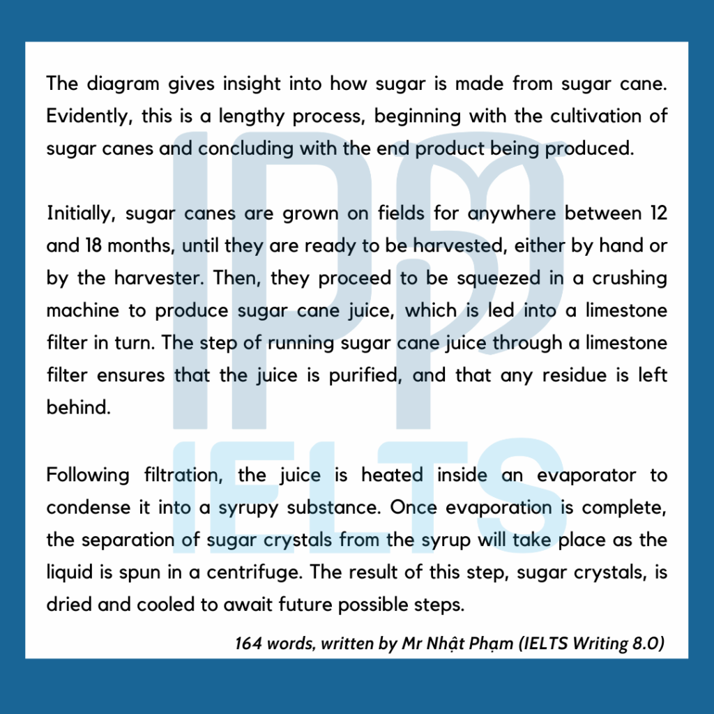 bài process về sugar cane