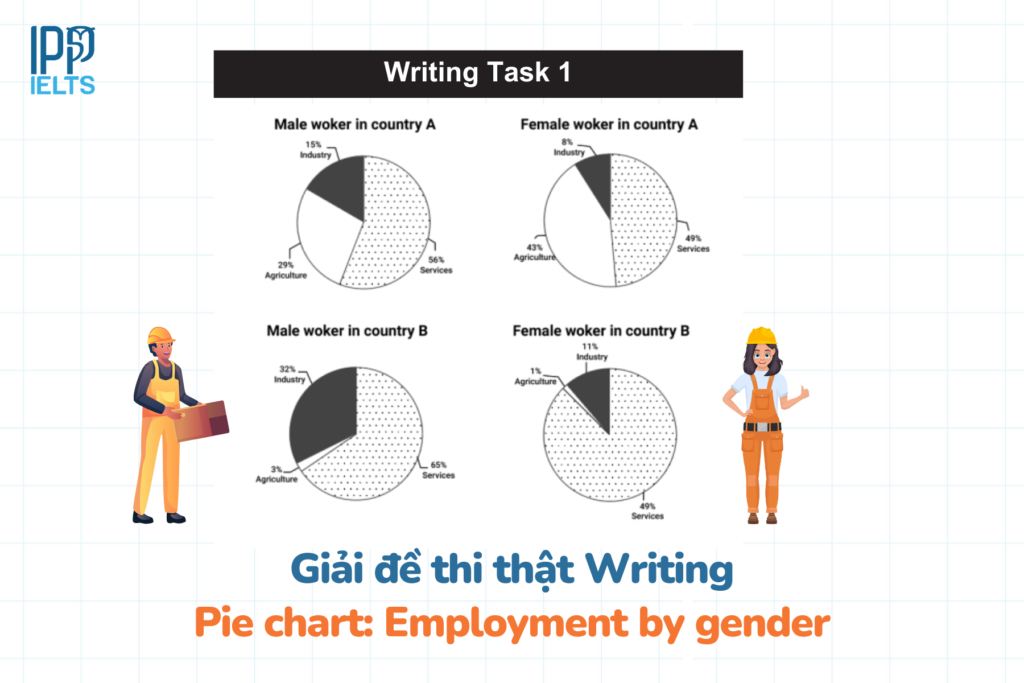 Employment by Gender