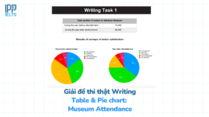 Museum Attendance