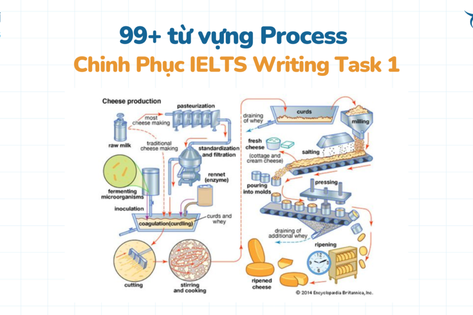 từ vựng process ielts task 1