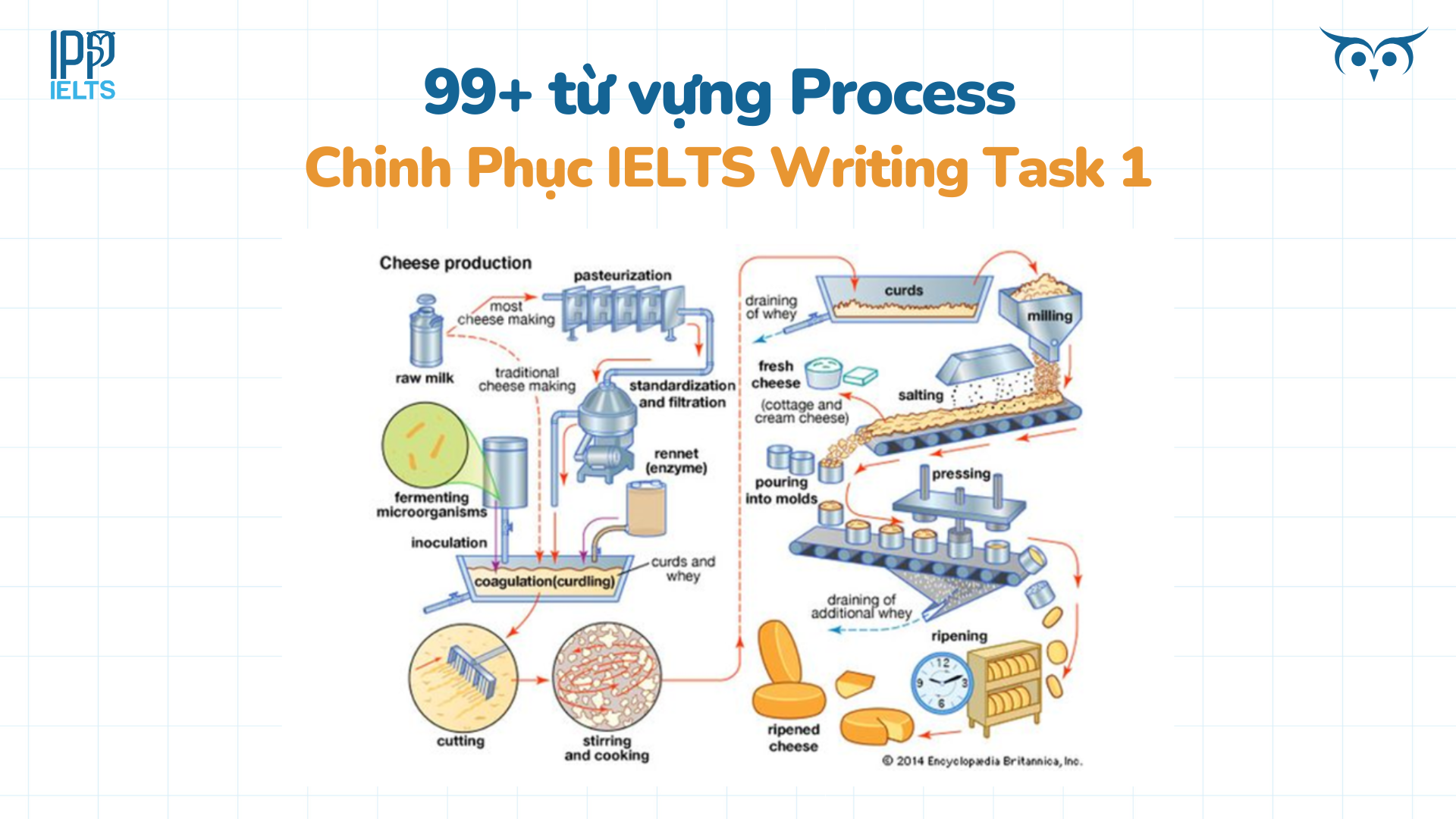 từ vựng process ielts task 1